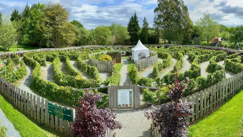 Greenan Maze