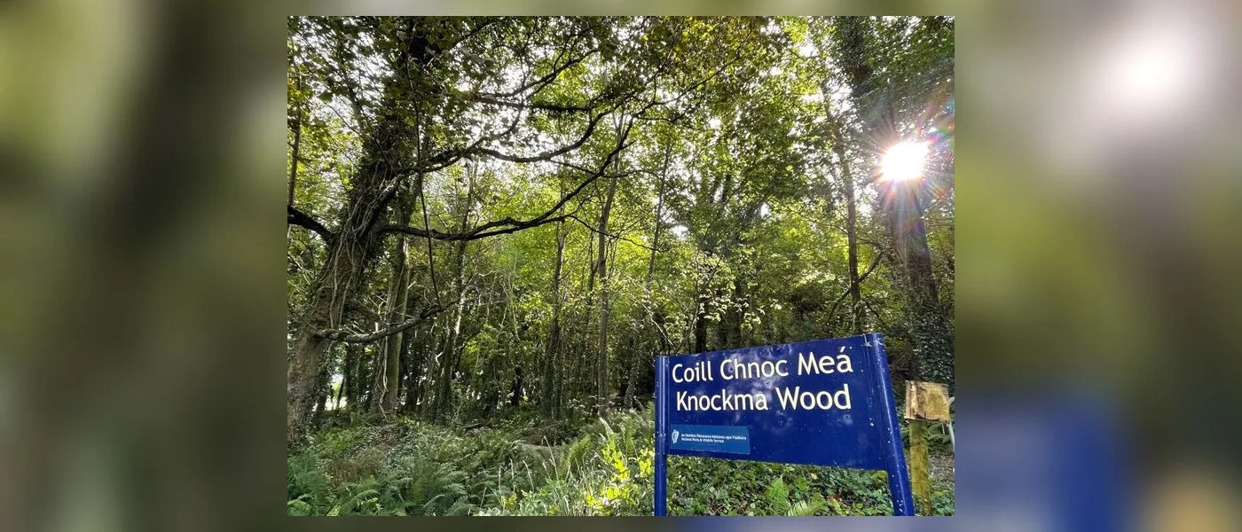 Knockma Wood