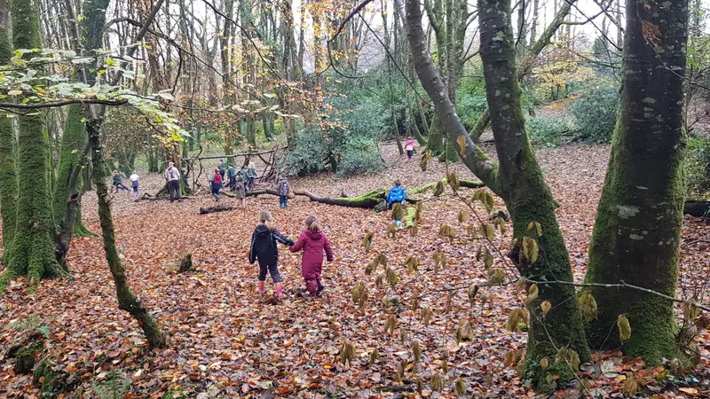 Sligo Woodland School