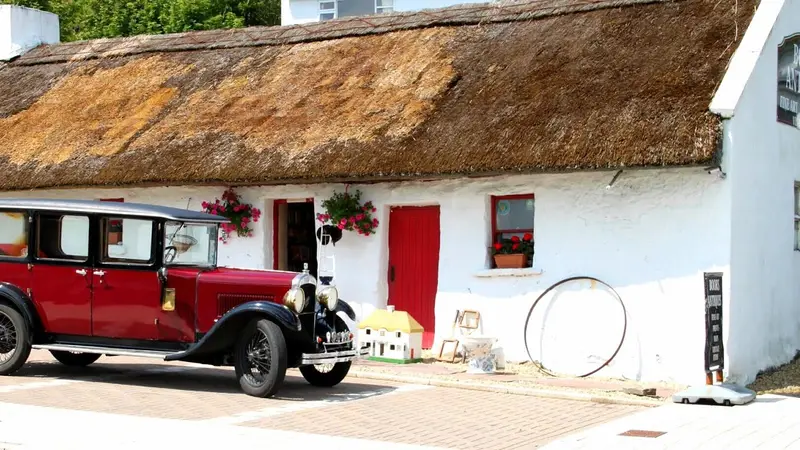 The Old Thatch - Antiques & Rare Books