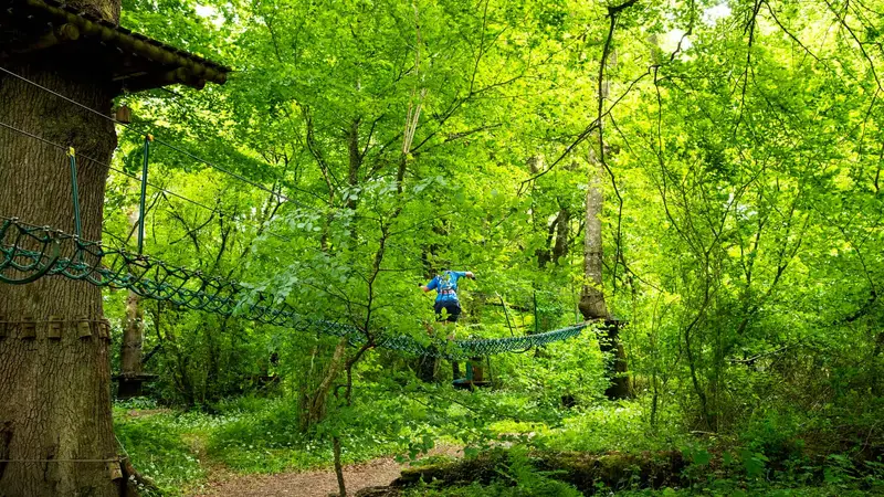Zipit Forest Adventures – Lough Key