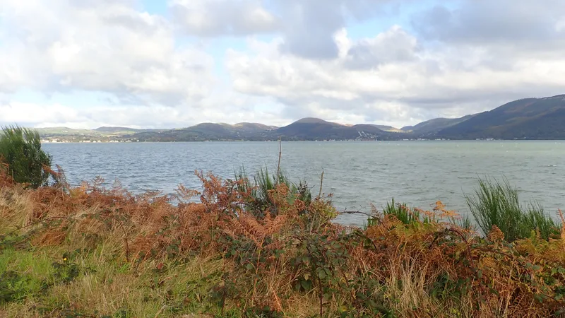 Carlingford Greenway