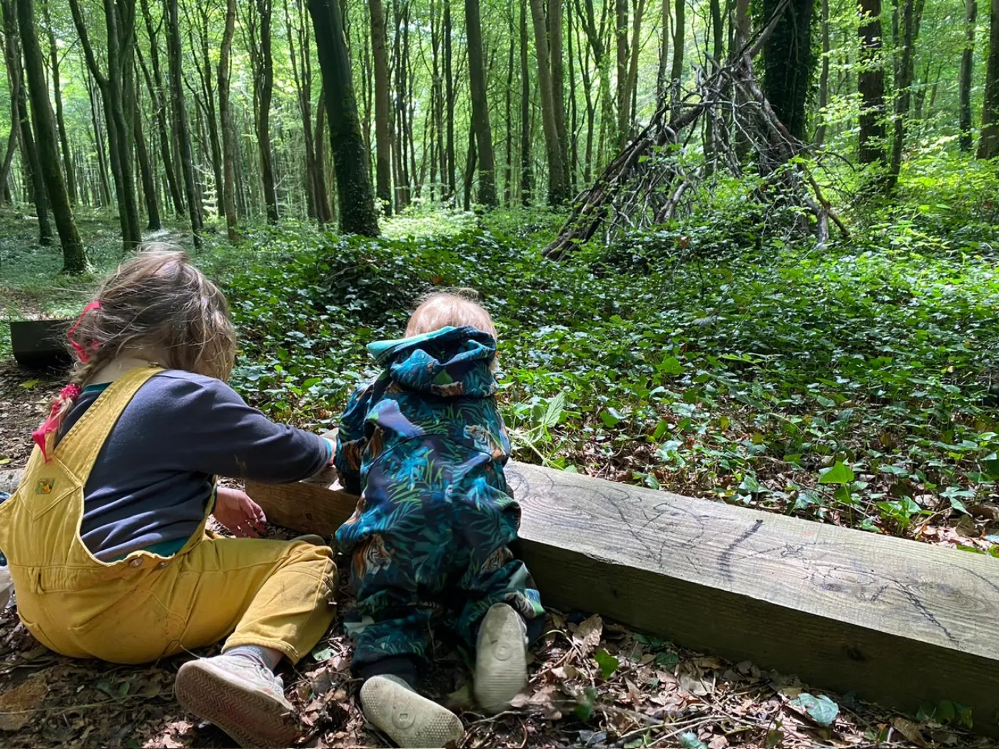 Cloughjordan Forest Weekly Meet Up