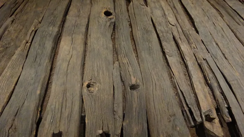Corlea Trackway Visitor Centre