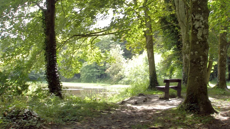 Donadea Forest Park