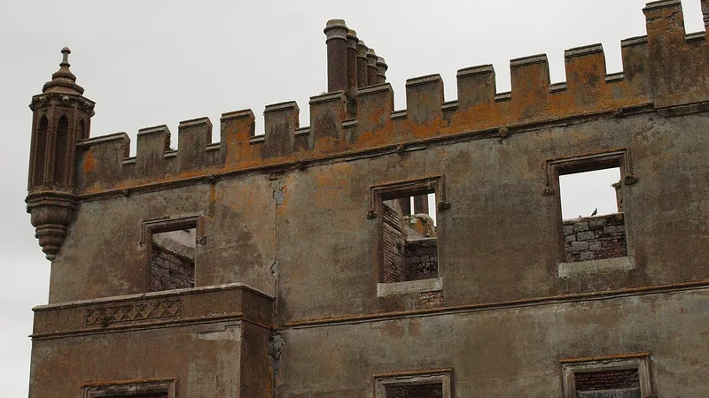 Duckett's Grove