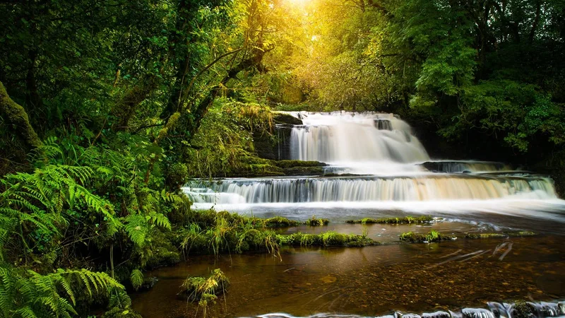 Fowley's Falls