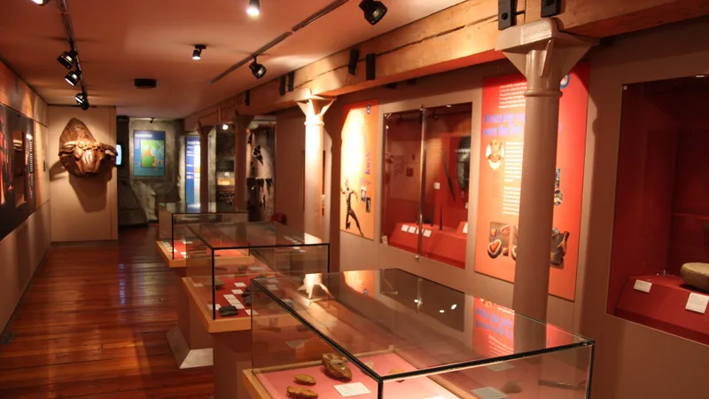 Louth County Museum