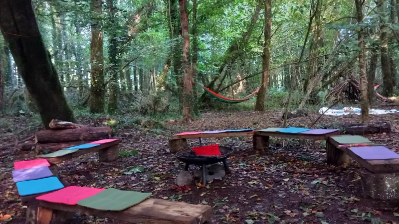 Madra Crainn Forest School