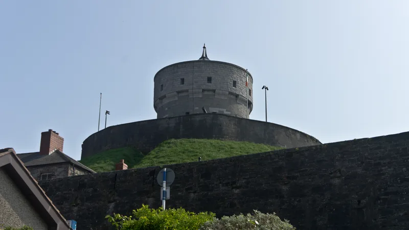Millmount Museum