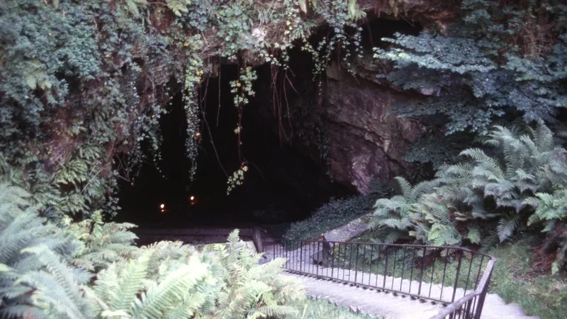 Mitchelstown Cave