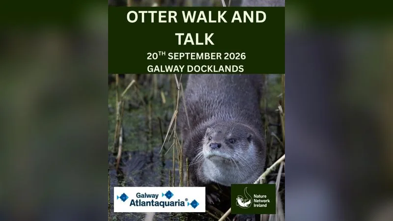 Otter Walk & Talk, Galway Docklands Festival