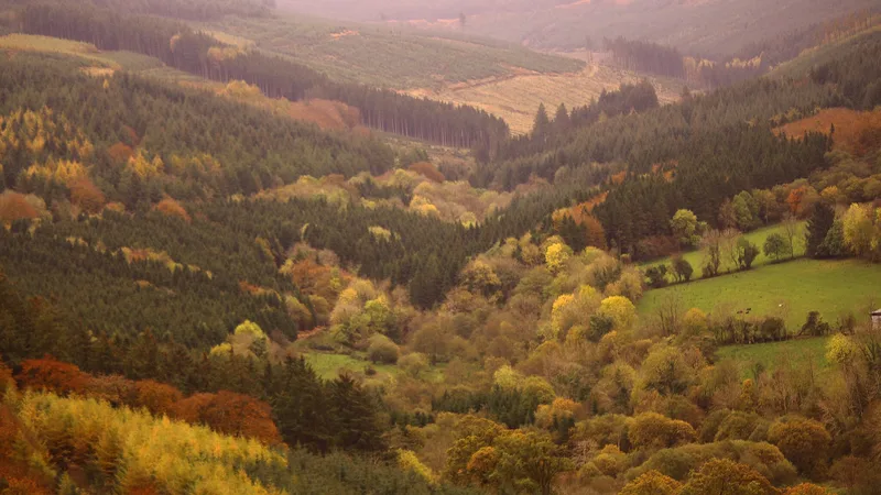 Slieve Bloom Mountains
